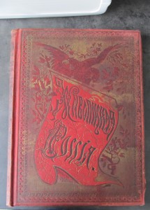 "Живописная Россия" (9-10 том)