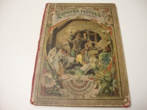 1905г. Царство растений и царство минералов.