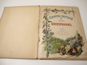 1905г. Царство растений и царство минералов.