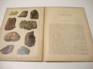 1905г. Царство растений и царство минералов.