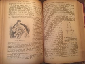 "Мать и дитя" , 1924 год
