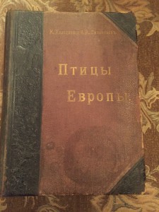 "Птицы Европы", 1901 год.