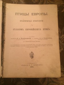 "Птицы Европы", 1901 год.