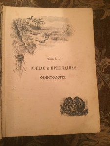 "Птицы Европы", 1901 год.