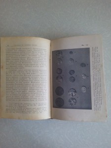 Спутник по Древнему Пскову 1913