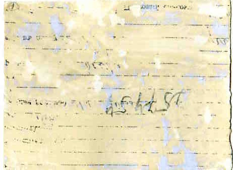 М.И.Калинин и Л.Д.Троцкий в 14-й дивизии РККА. Гражд.война.