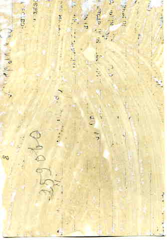 Начальник Карской экспедиции Шевелев (ГСС). Мурманск.1933 г.