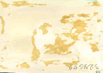 Пребывание маршала Сов.Союза Г.К.ЖУКОВА в Индии. Лот,7 фото.