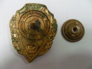 Отличник санитарной службы