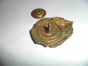 Отличник санитарной службы