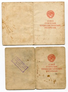 Вена 4 шт