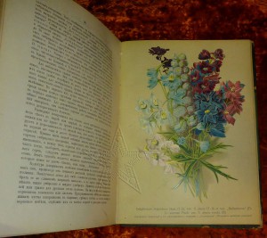 ★ ★ ★ Книги. Все направления! Тема пополняется.. ★ ★ ★