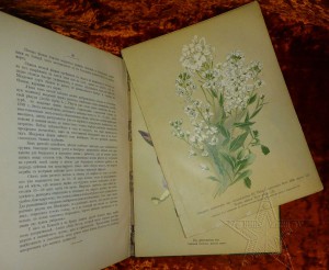 ★ ★ ★ Книги. Все направления! Тема пополняется.. ★ ★ ★