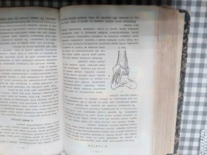 Книга "Природа и Земледелие"1877,2-ве части, ПРеображенского