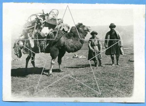 "Самолёт-хорошо,пароход - хорошо.А верблюды лучше".