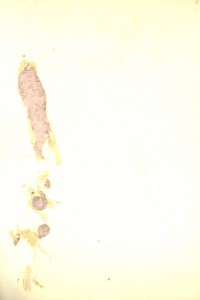 R Летчик Б.Н. Еремин у самолета от колхозника Головатого R