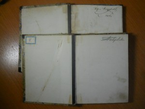 2 книги графа Л.Н.Толстого 1876 г.
