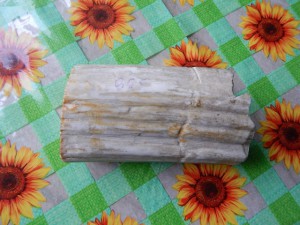 Клык моржа.