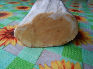 Клык моржа.