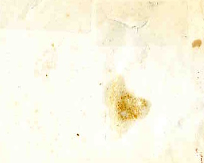 Работники пожарной охраны у автомобиля. 1930-е годы.