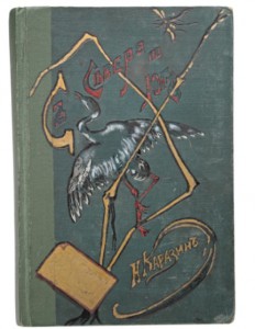 1899 г. С Севера на Юг. Путевые воспоминания Старого Журавля