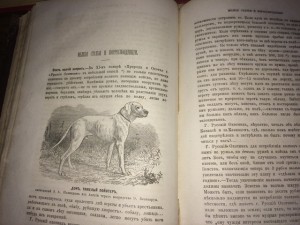 Книги на тему охота