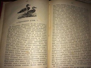 Книги на тему охота