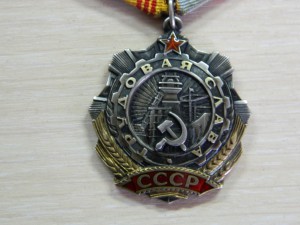 Трудовая слава 3ст