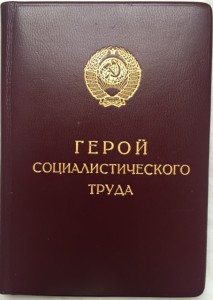 ГСТ, два ОЛ, ЗП, ОВ 2 ст.(ю), медали на одного.