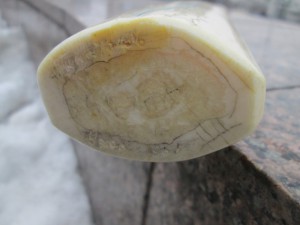 Клык моржа, автор Тынатваль 1968г.