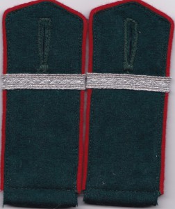 Погоны/петлицы Восточного добровольца (реплики)