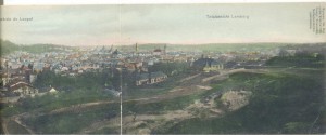 фото-раскладуша из 3 шт ЛЬВОВ 1904 г.