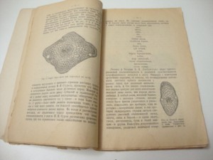 1922г. Морозов Г.Ф. Биология наших лесных пород.