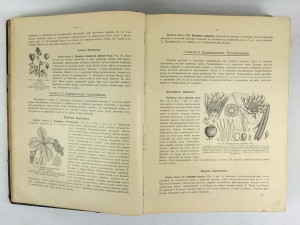 Ботанический атлас, описание и изображение растений.......