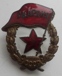Гвардия боевая  интересная