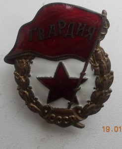 Гвардия боевая  интересная