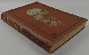 Стихотворения С.Я. Надсона. Издание 17. 1899 г.