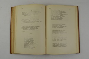 Стихотворения С.Я. Надсона. Издание 17. 1899 г.