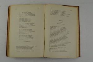 Стихотворения С.Я. Надсона. Издание 17. 1899 г.
