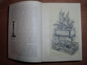 Гесдерфер М. Комнатное садоводство. 1904 г.