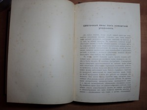 Гесдерфер М. Комнатное садоводство. 1904 г.
