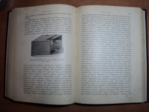 Гесдерфер М. Комнатное садоводство. 1904 г.