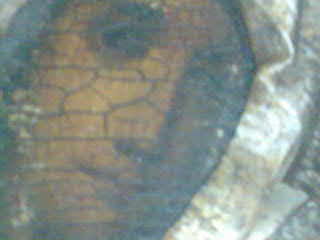 Кто что скажет об иконе!?