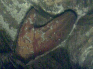 Кто что скажет об иконе!?