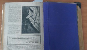 Журнал "НИВА" 1917 год. годовая подборка