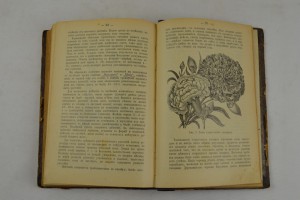 Садовая библиотека. 12 выпусков. Тип. П.П. Сойкина.СПб.1909г