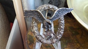 Пилот (С.E.JUCER)