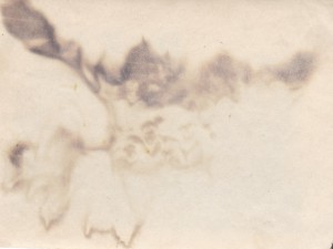 Отличное пополнение в коллекцию: АРХИВ фото курсанта КАУБО.