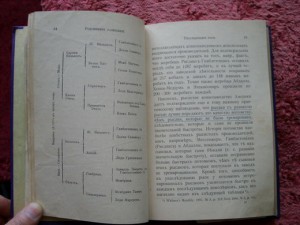 Кулешов.Тренировка рысаков 1905г.