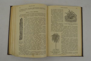 Садоводство для начинающих и любителей. 1907 г.